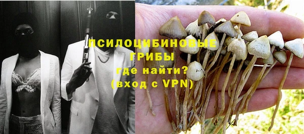 винт Балахна